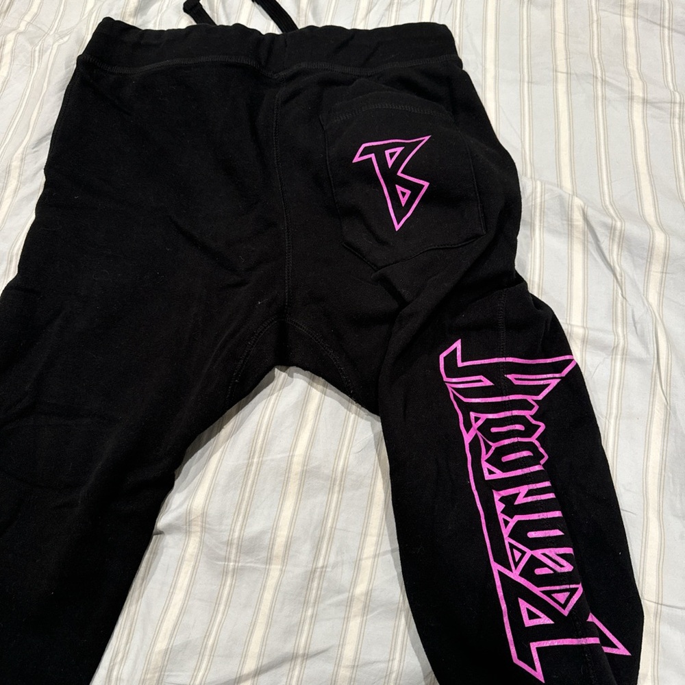 Beartooth Sweatpants - image 2